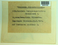 Image Associated With the Occurence